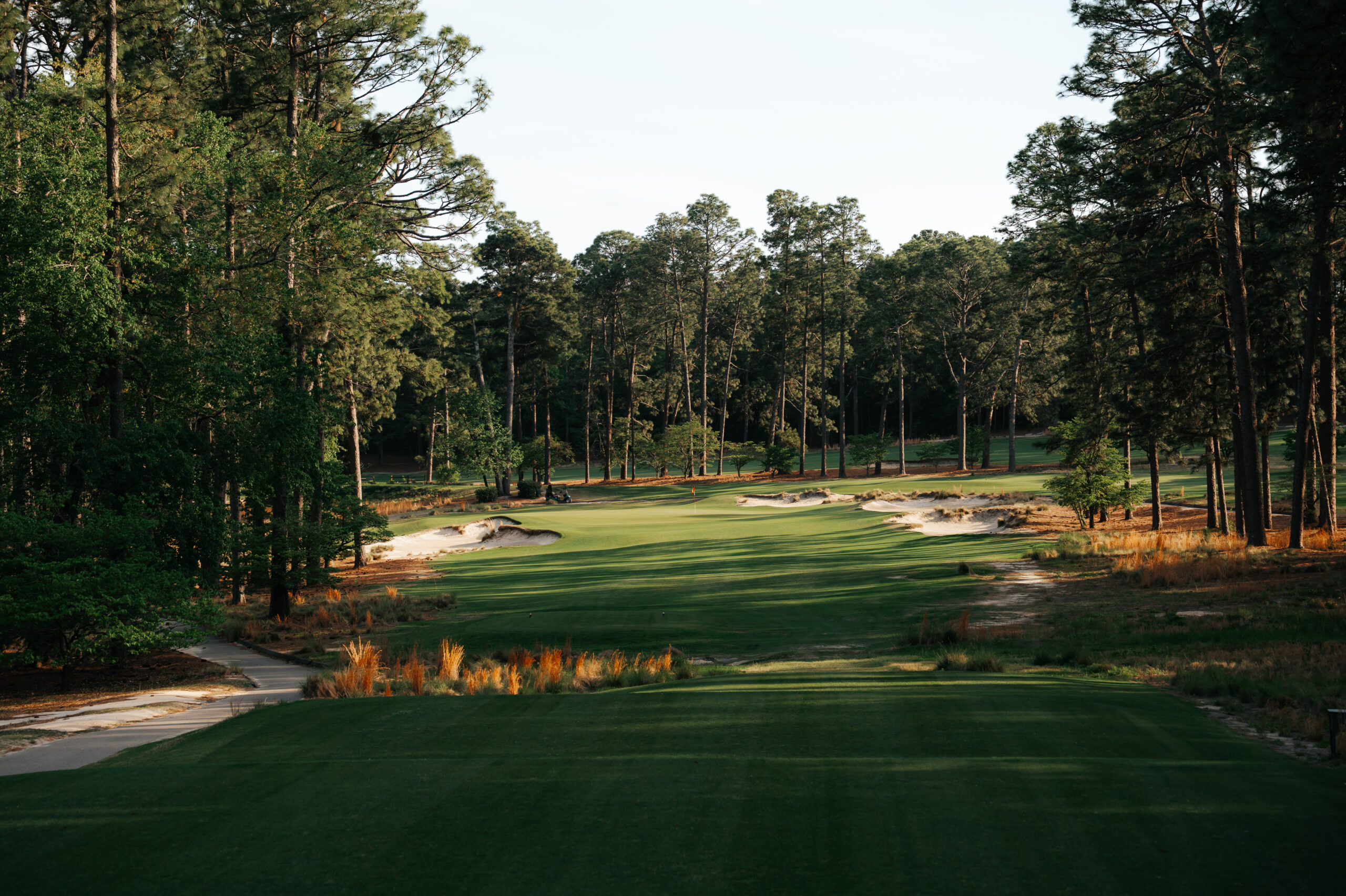 A wide view of a golf course features a well-maintained green fairway flanked by tall trees. The landscape includes sand traps and patches of dry grass, with a sunny sky visible above.