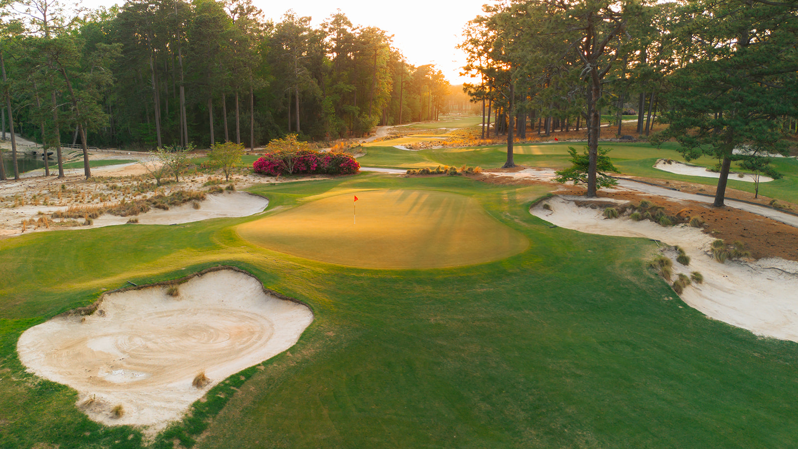 The Course
