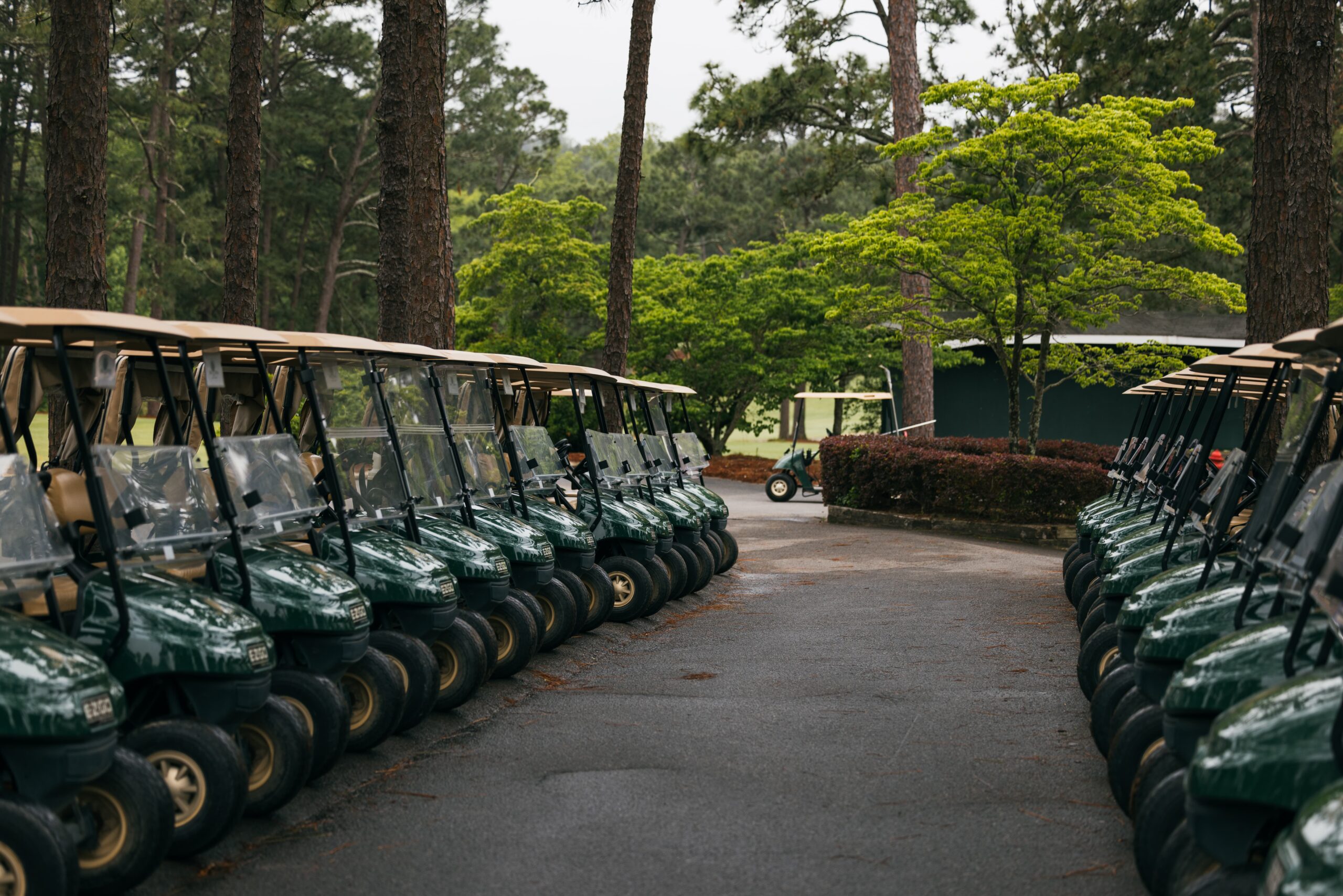 A row of green golf carts lined up on a paved path, surrounded by tall trees and green foliage. In the background, another golf cart can be seen on a separate path near a building.