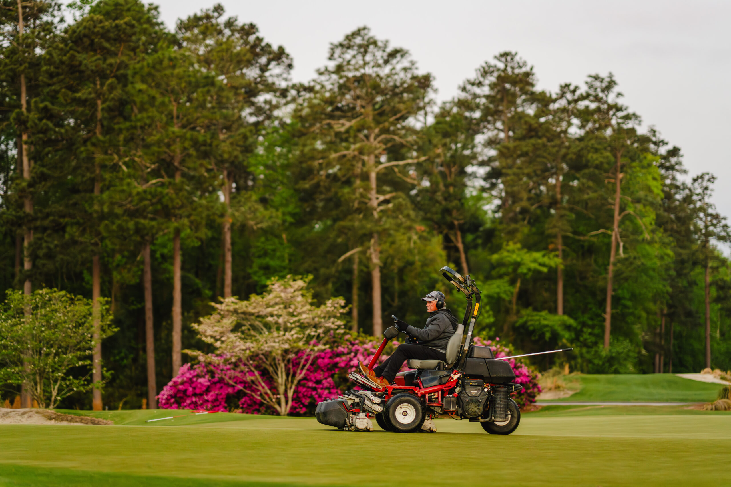 A person on a riding mower maintains a golf course green surrounded by tall trees and flowering shrubs. The equipment is red with a black seat, and the operator is wearing a dark uniform and a helmet, focused on the grass.